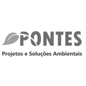 logo-pontes-pb-512